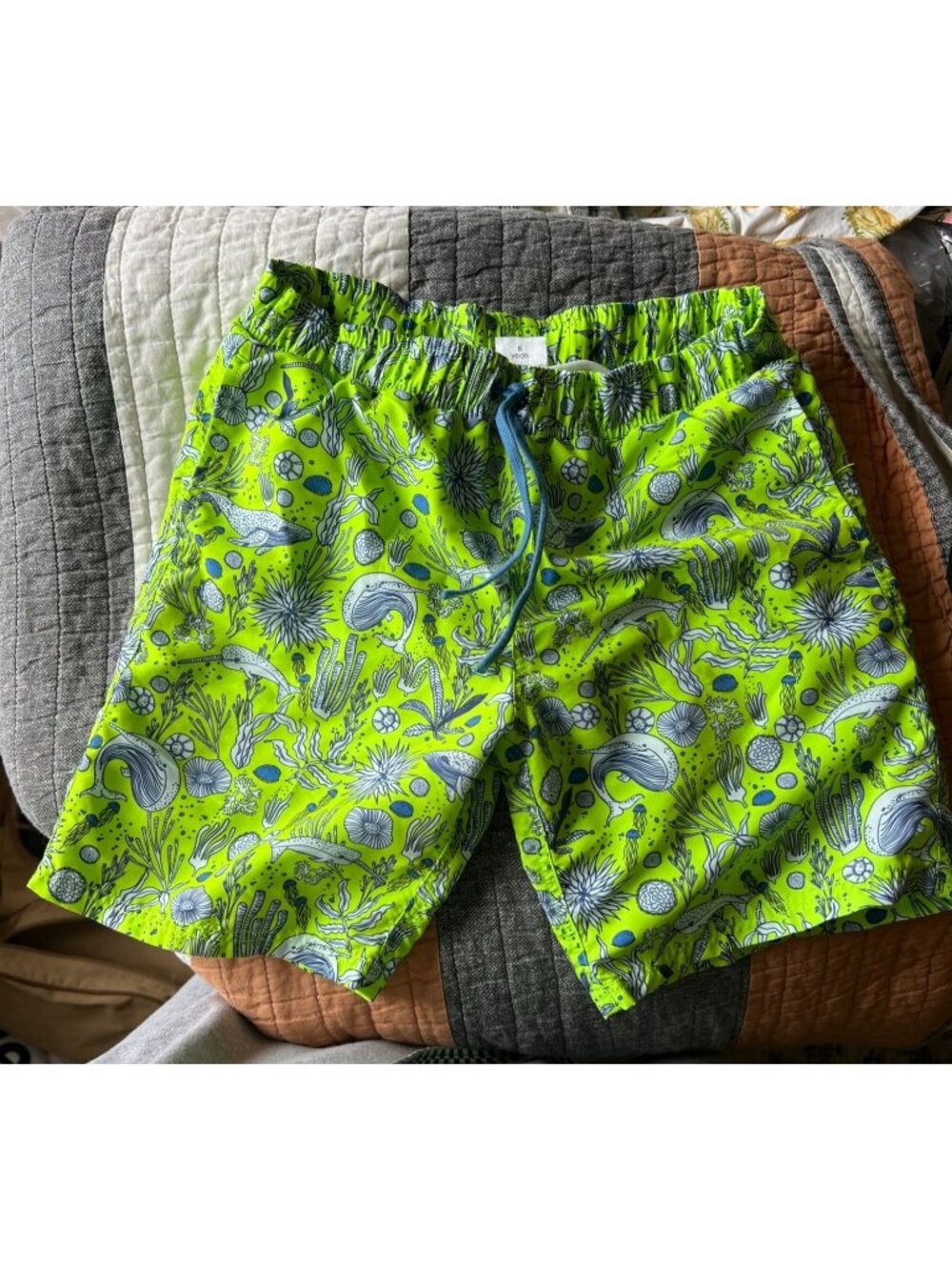 Lime Green Marine Life Patterned  Swim Trunk Shorts by EGG susan Lazar Size 8